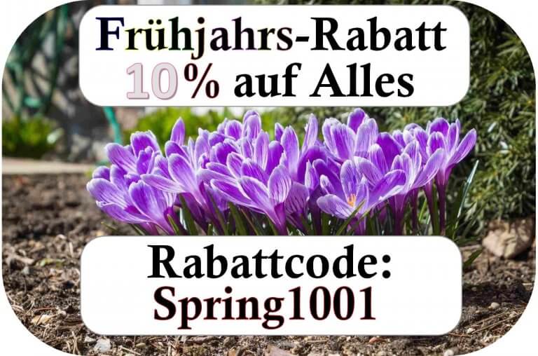 Frühjahrs-Rabatt: 10 % auf Alles - Rabattcode Spring1001